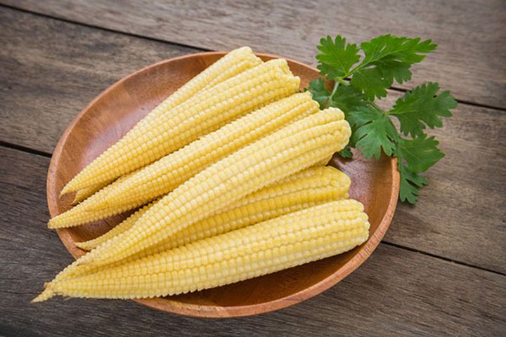 Công dụng của ngô bao tử
