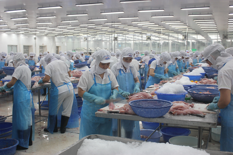 Công ty CP XNK thủy sản An Giang: Thực hiện nghiêm các quy định về bảo vệ môi trường trong sản xuất, kinh doanh