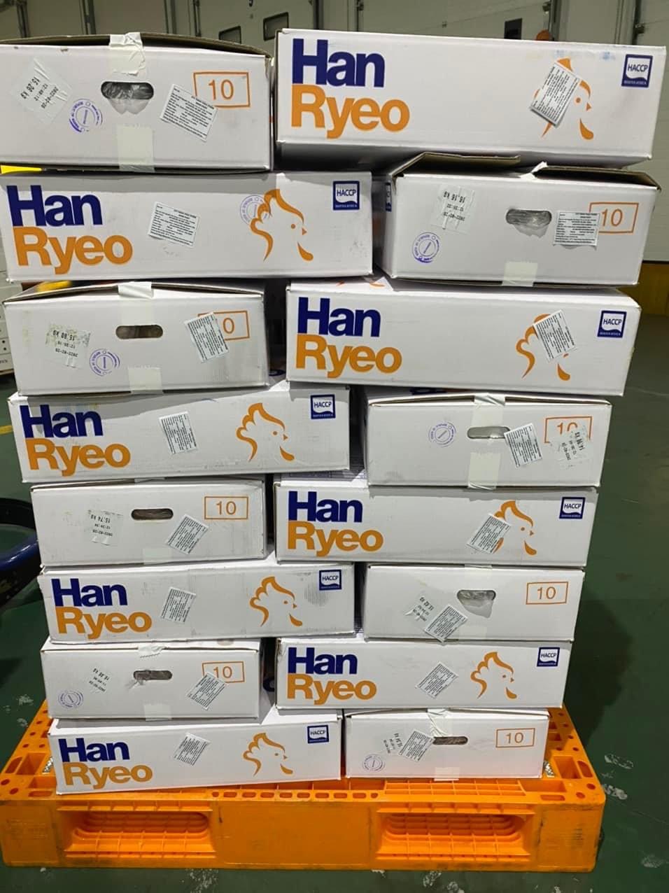 Gà dai Hanryeo Hàn Quốc 10 con 15-17kg, hàng đông lạnh