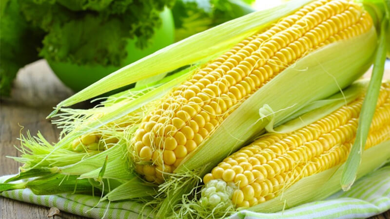 10 lý do bạn nên ăn ngô (bắp) luộc mỗi ngày