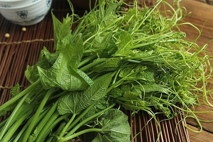 Rau su su – vietquangfarm.com