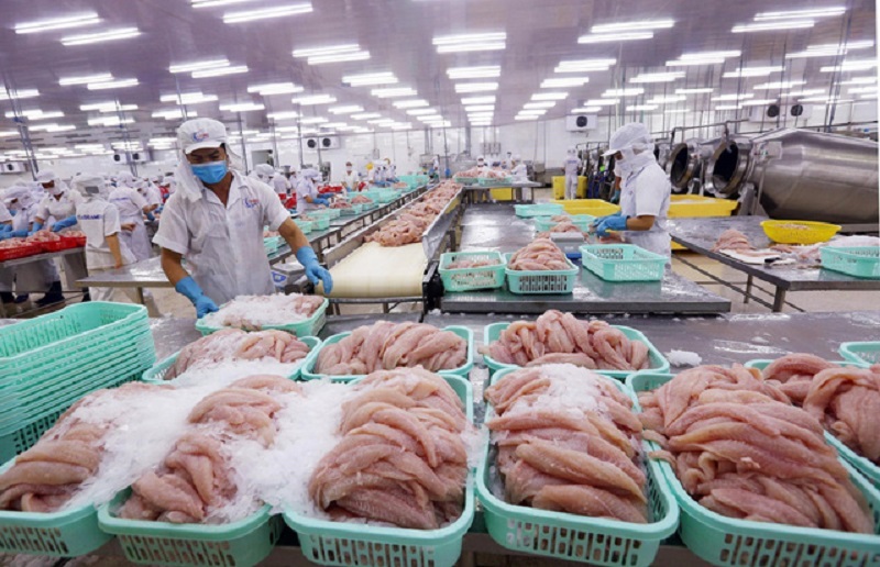 Hướng dẫn tìm nguồn hàng đông lạnh chuẩn không cần chỉnh