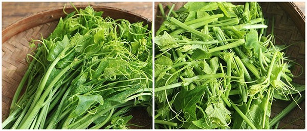 Thanh nhiệt cơ thể với cách làm ngọn su su xào tỏi siêu giòn