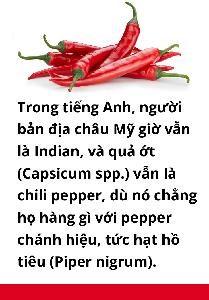 Ăn cay và xứ sở - Tuổi Trẻ Online