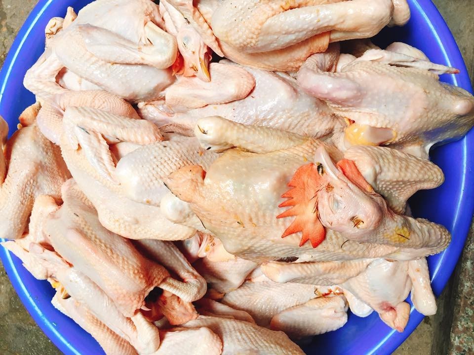 Gà ri Ba Vì thịt sẵn - 130k/con