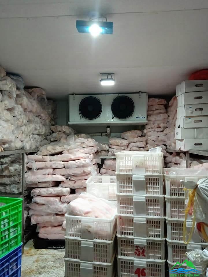 Thi công kho lạnh bảo quản thịt gà đông lạnh – KHO LẠNH AN KHANG