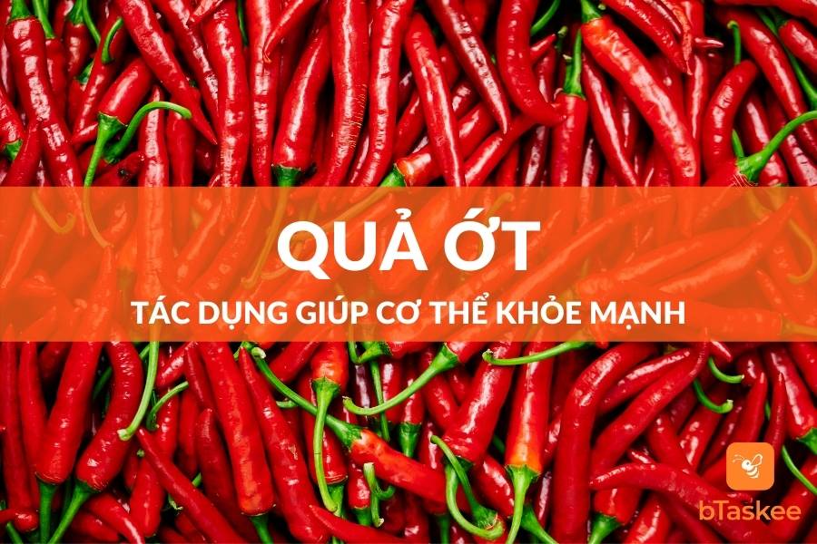 Quả Ớt: Tác Dụng Bất Ngờ Giúp Cơ Thể Khỏe Mạnh – bTaskee