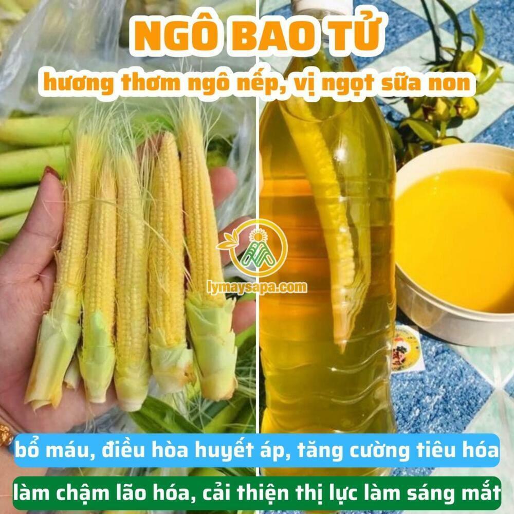 rượu ngô bao tử - Lý Mẩy Sapa - Đặc Sản, Thảo Dược, Đồ Ngâm Rượu Tây Bắc