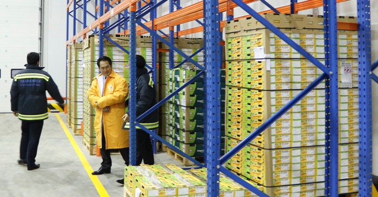 Thịt đông lạnh nhập khẩu thịt heo đông lạnh nhập khẩu ăn có ảnh hưởng gì  tới sức khỏe hay không ?