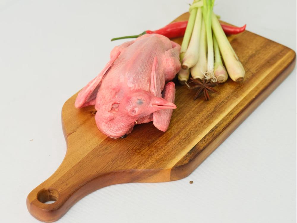 Ubofood | Chim Bồ Câu Ta (Size 250-300g)