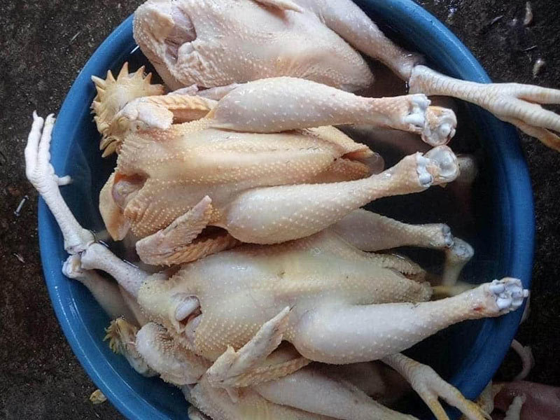 Đặc sản gà ri 45.000 đồng/con bán tràn “chợ mạng”