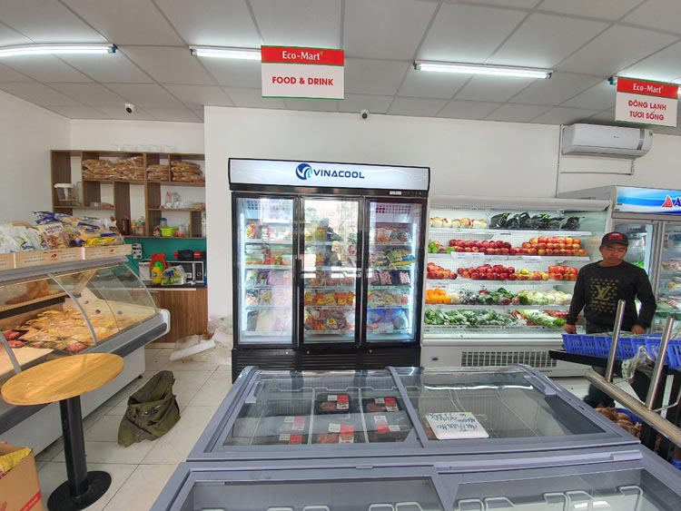Tủ đông đứng mặt kính 3 cánh Vinacool