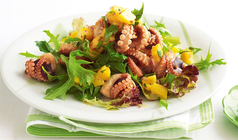 Món Ngon Từ Bạch Tuộc