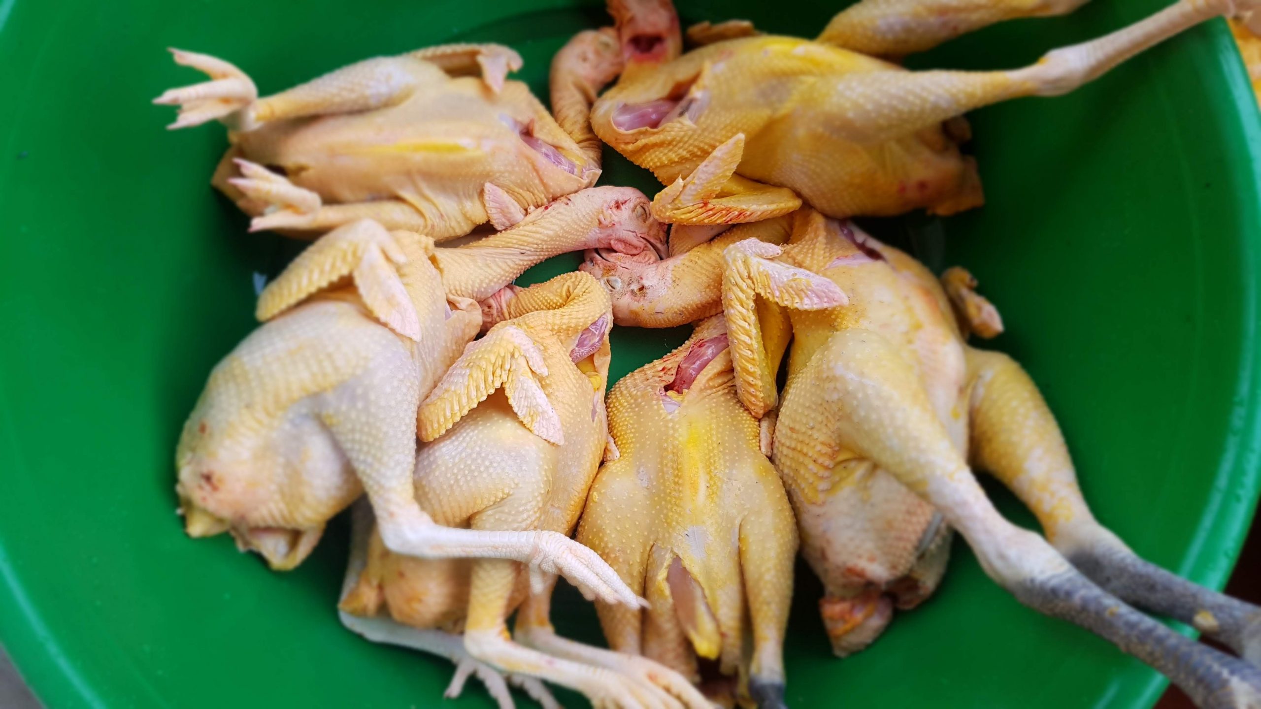 Gà Hữu Cơ - Trang Trại Gà Đồi Danh Định
